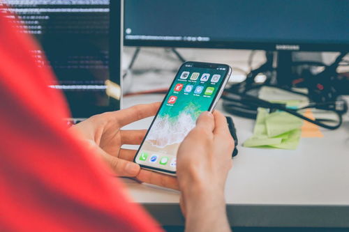 一口吃下 iPhone設計規范與網絡技術咨詢的融合指南